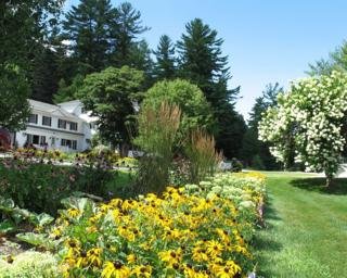 Hotel Purity Spring Resort