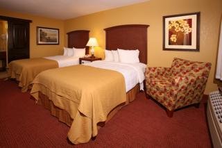 Hotel Quality Inn International