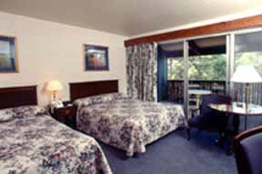 Hotel Quality Inn South