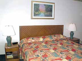 Hotel Quality Inn & Stes Arlington