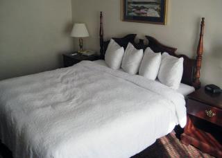 Hotel Quality Inn & Suites