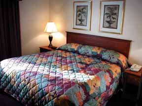 Hotel Quality Inn & Suites