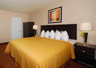 Hotel Quality Inn & Suites Anaheim At The Park