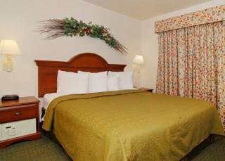 Hotel Quality Inn & Suites Dfw North