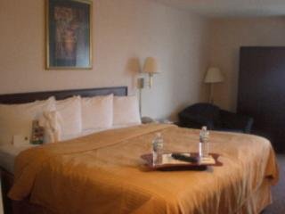 Hotel Quality Inn & Suites-elk Grove Village