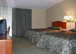 Hotel Quality Inn & Suites Reliant Park-medical Center