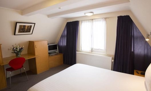 Hotel Quentin Golden Bear