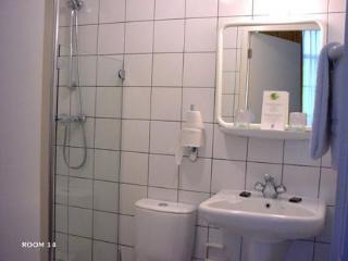 Hotel Quentin Golden Bear