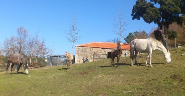 Hotel Quinta Da Mata