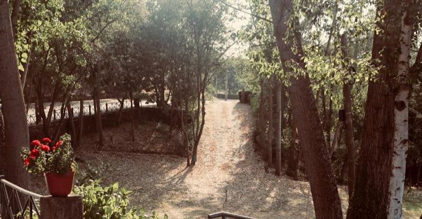 Hotel Quinta Da Mata