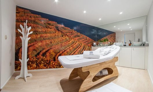 Hotel Quinta Do Vallado