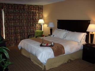 Hotel Radisson Dallas East