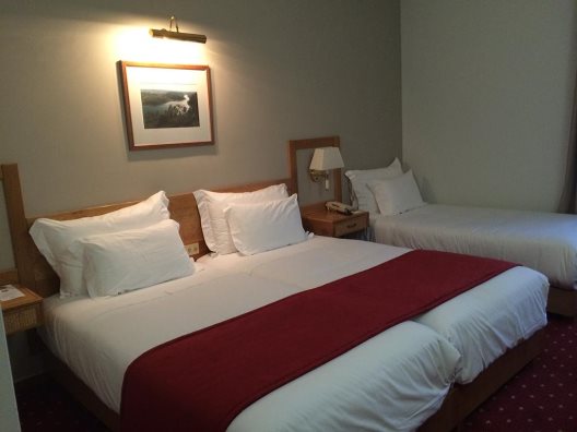 Hotel Rainha D. Amelia