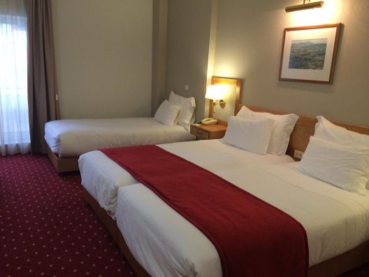 Hotel Rainha D. Amelia