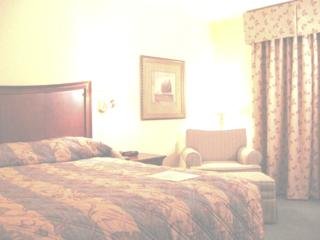 Hotel Ramada Blue Ridge