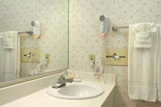 Hotel Ramada Dallas Love Field