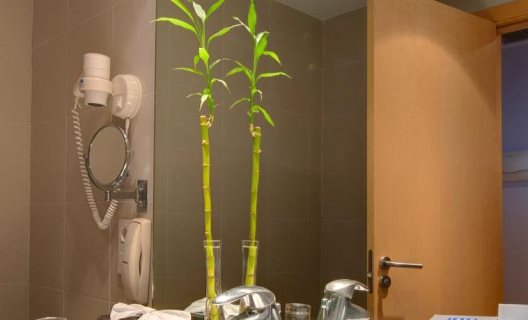 Hotel Ramada Valencia Almussafes