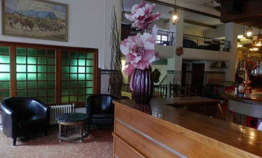 Hotel Ramis