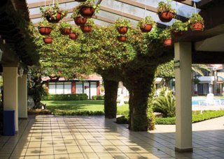 Hotel Real De Minas Poliforum