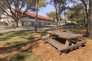 Hotel Red Roof Inn Tampa Busch