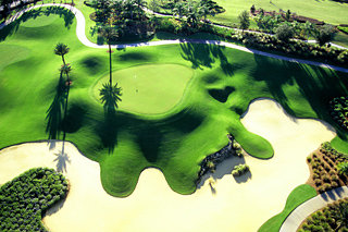 Hotel Reunion Resort
