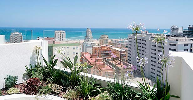 Hotel Rh Arena Gandía