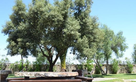 Hotel Rincon Del Abade