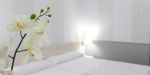 Hotel Rio Arga