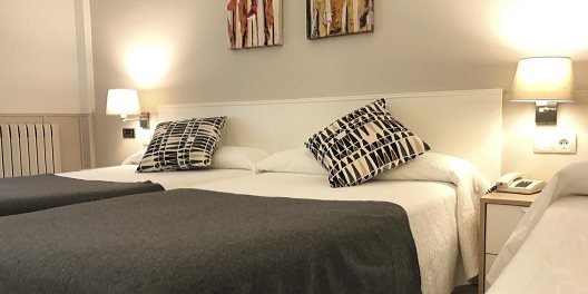 Hotel Rio Arga