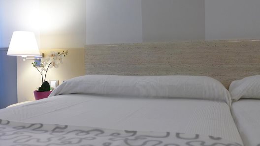 Hotel Rio Arga