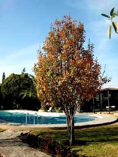 Hotel Rio Tequisquiapan