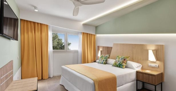 Hotel Riu Playa Park