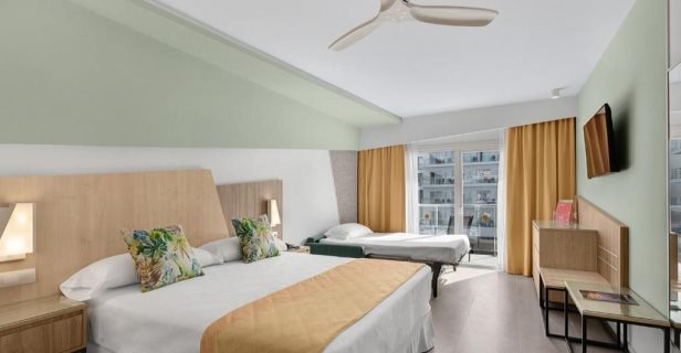 Hotel Riu Playa Park