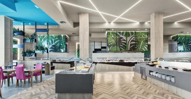 Hotel Riu Playa Park