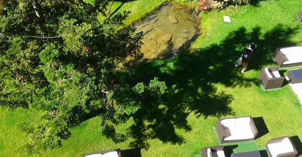 Hotel Roca Blanca