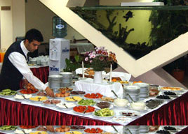 Hotel Rodopi