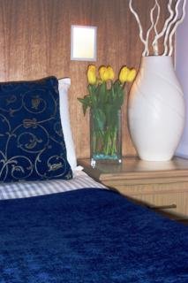 Hotel Rooms At 29 Bruce Street