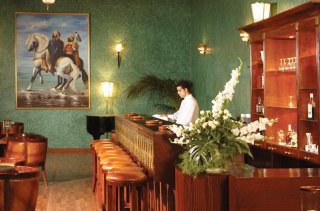 Hotel Royal Mirage Deluxe