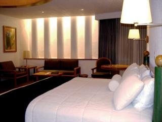 Hotel Royal Pedregal