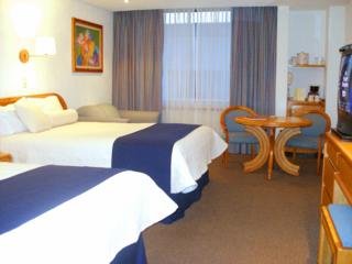 Hotel Royal Pedregal