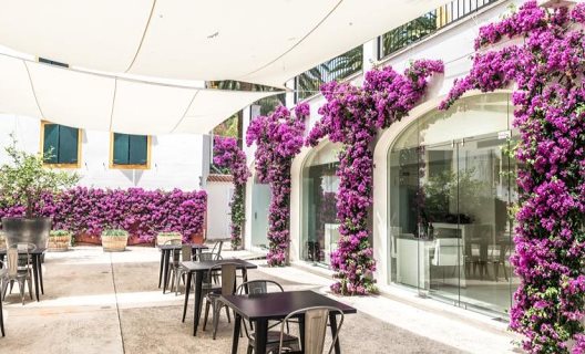 Hotel Rural Agroturisme Ca Na Xini
