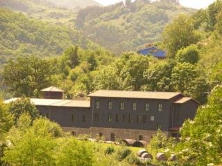 Hotel Rural Aguas Del Narcea