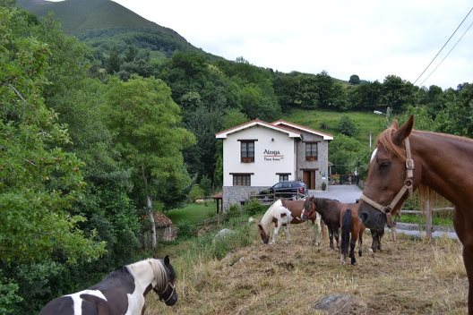 Hotel Rural Alesga