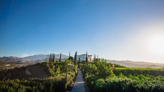Hotel Rural B Bou Cortijo Bravo