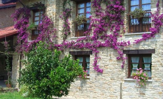 Hotel Rural Casona De Cefontes
