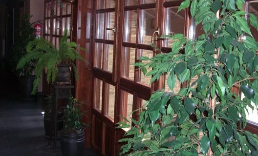 Hotel Rural Casona De Cefontes