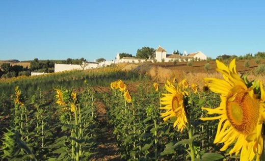 Hotel Rural Cortijo El Guarda