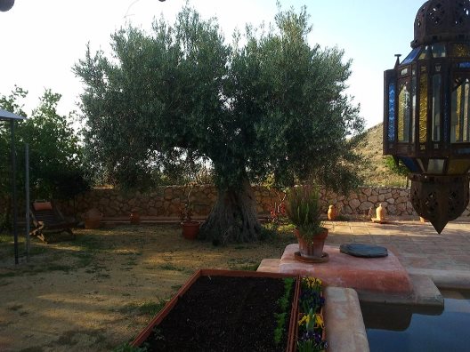 Hotel Rural Cortijo La Alberca