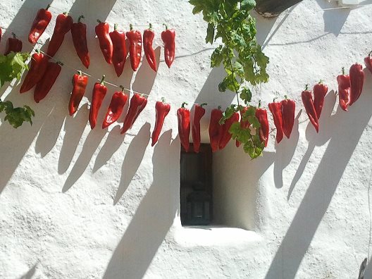 Hotel Rural Cortijo La Alberca