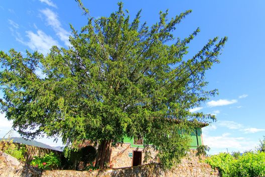 Hotel Rural Cuadroveña